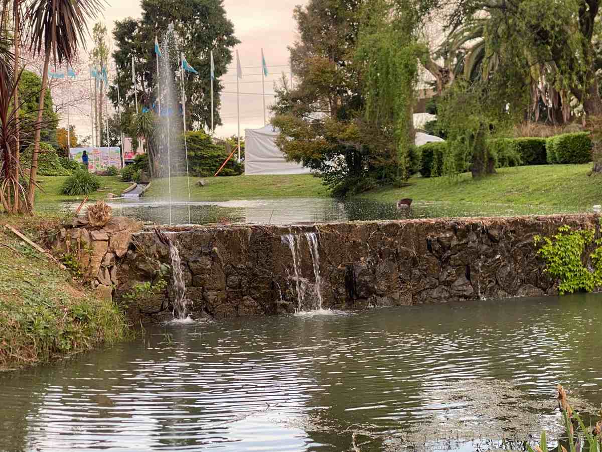 Imagenes del predio Floral Fiesta de la Flor 2026