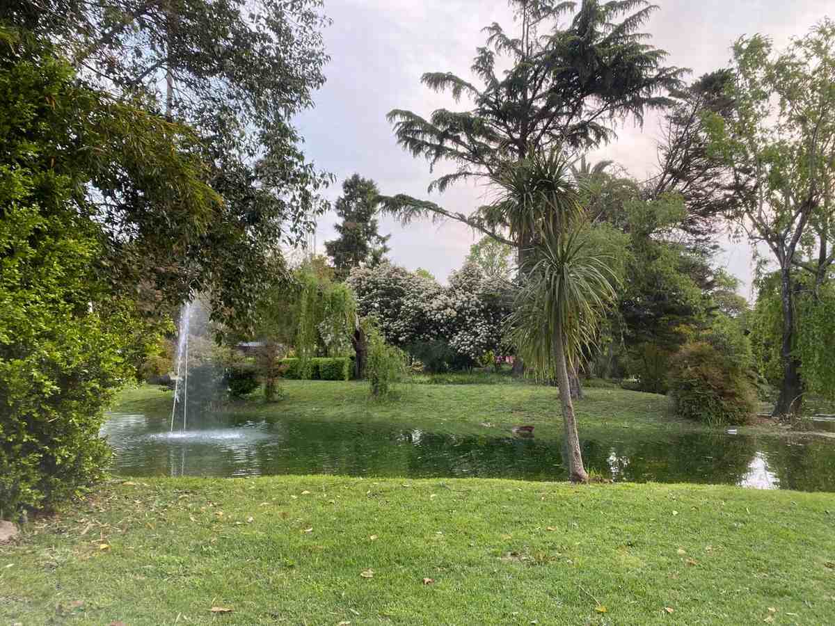 Imagenes del predio Floral Fiesta de la Flor 2026