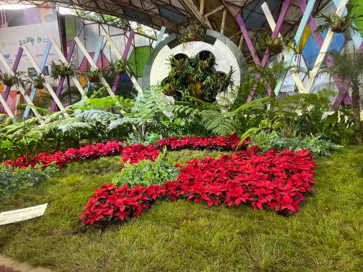 El Pabellon Floral