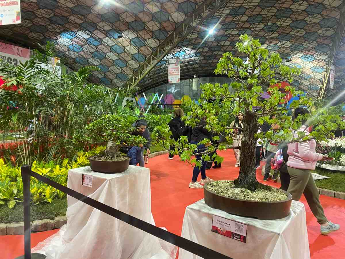 El Pabellon Floral