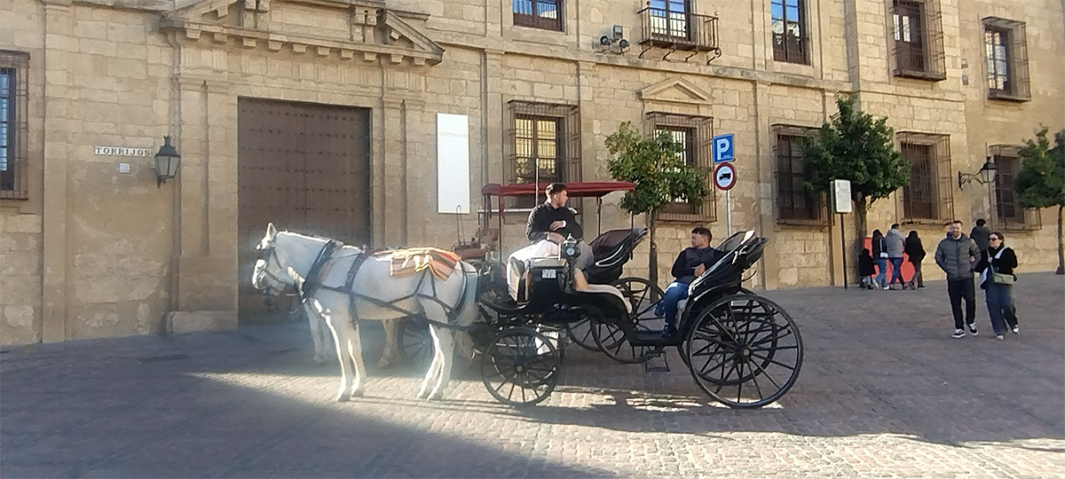 Córdoba Califato Gourmet 2026
